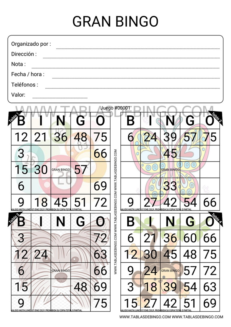Bingo Tradicional - 4 tabla (cuartazo)