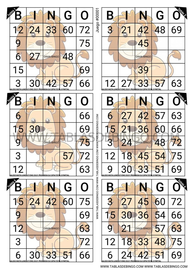 Bingo Tradicional - 6 tabla