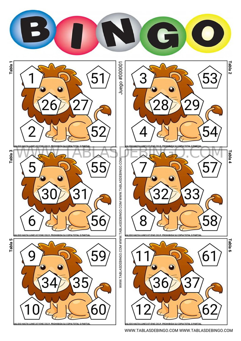 Super Bingo - 6 tabla